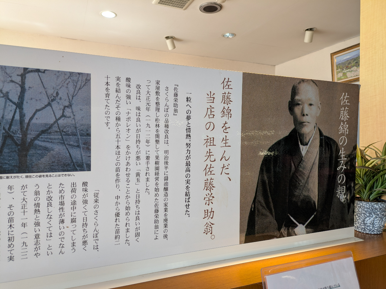 さくらんぼについて学ぼう&真っ赤なさくらんぼの器にさくらんぼや旬のフルーツを盛っ...