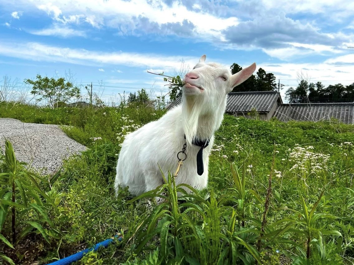 M鉸₩ȏnNułiM͂xݒ̂Ƃ܂̂łj