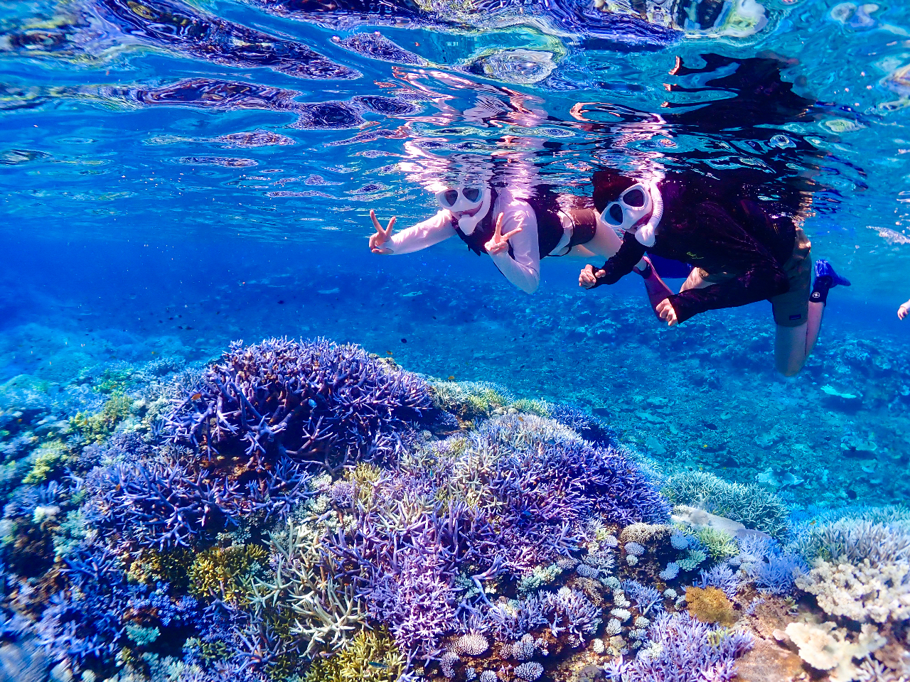 �����ʐ^�̓c�A�[�I����ɖ����v���[���g�I�ǂ�Ȏʐ^�ɂȂ邩���y���݂Ɂ�