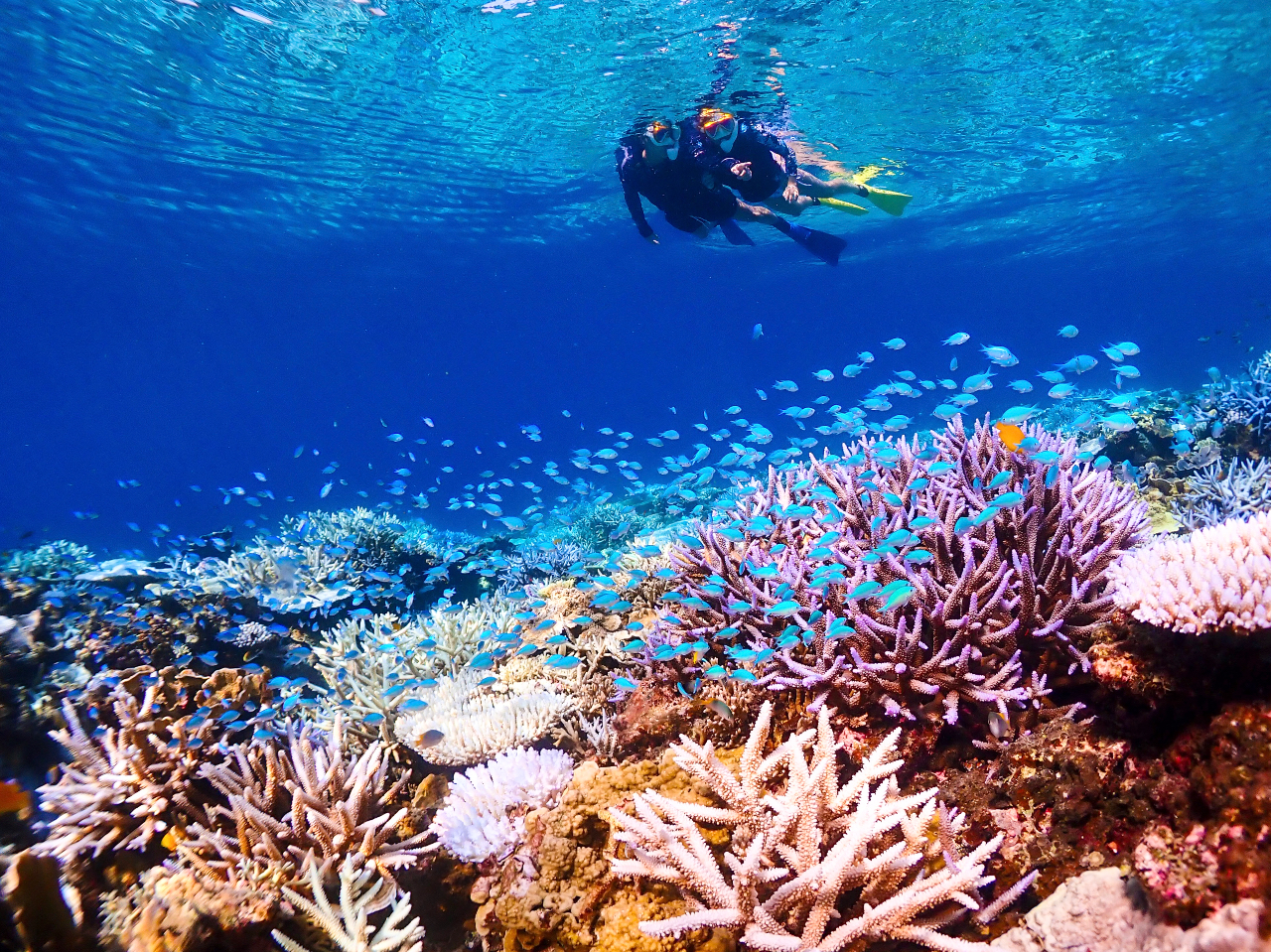 �ڂŌ����i�F���ʐ^�Ŏc����悤�A�X�^�b�t�����X���i���Ă���܂��I