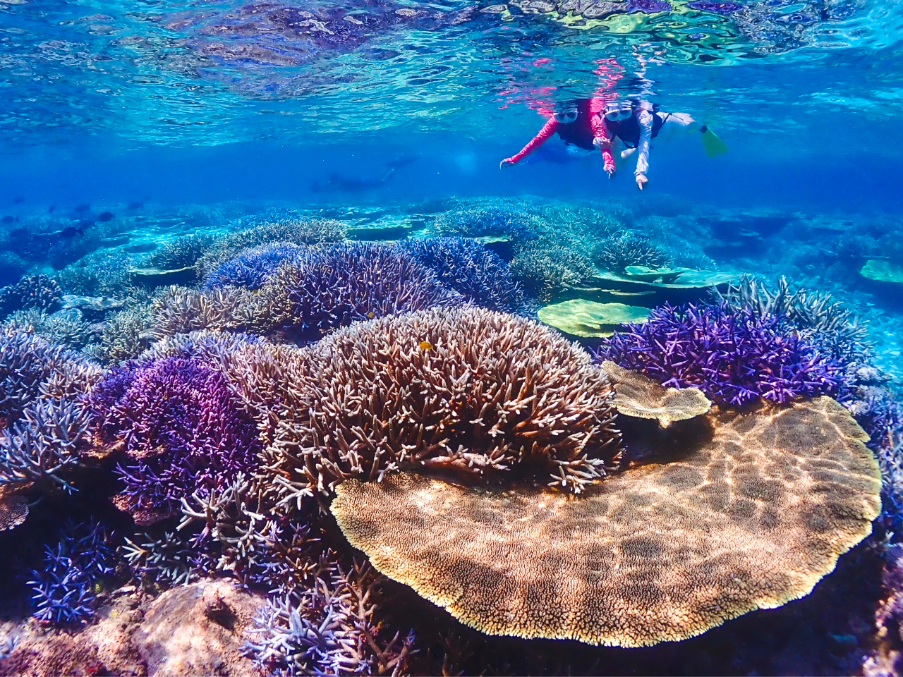 �X�^�b�t���擱�Ő������E�����ē��������܂��I