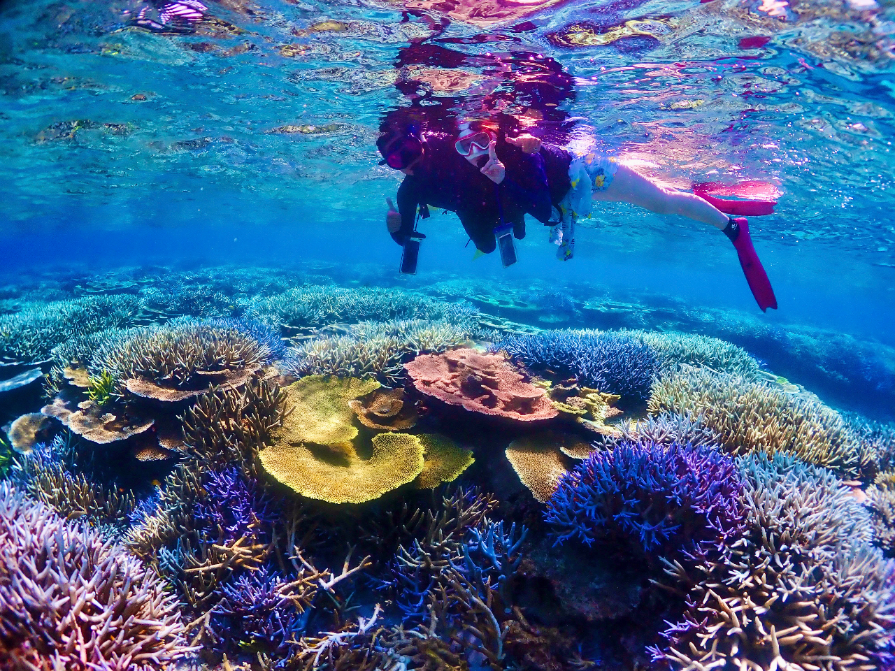 少人数制】ドローン撮影・写真データに自信あり！日本最大級のサンゴ礁