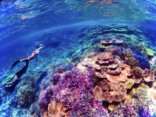 水中写真に自信あり!!大人気・美しいサンゴ礁で泳ぐスキンダイビングツアー!少人数制のため水中写真データたくさんお撮りします♪