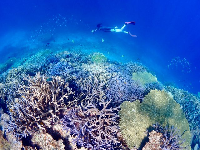 目で見た景色を写真で残せるよう、スタッフも日々精進しております!