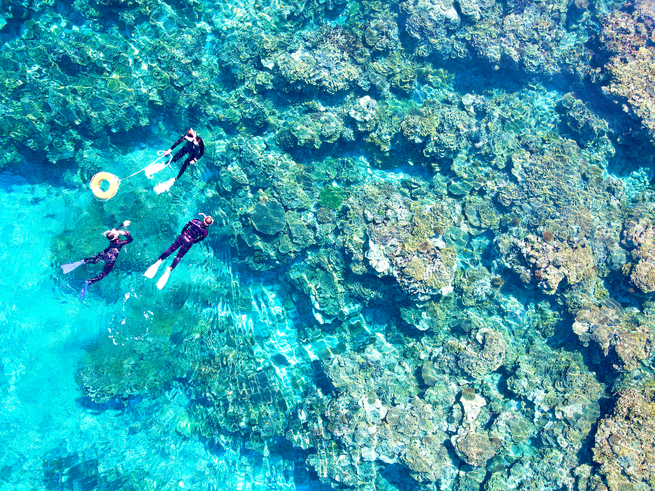 �X�^�b�t���擱�Ő������E�����ē��������܂��I