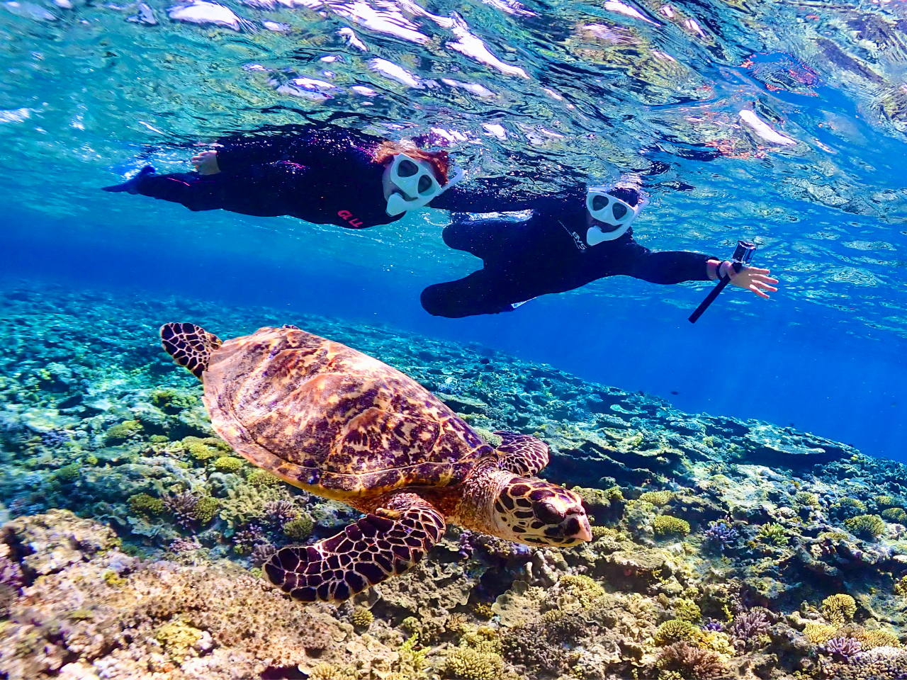 �ڂŌ����i�F���ʐ^�Ŏc����悤�A�X�^�b�t�����X���i���Ă���܂��I