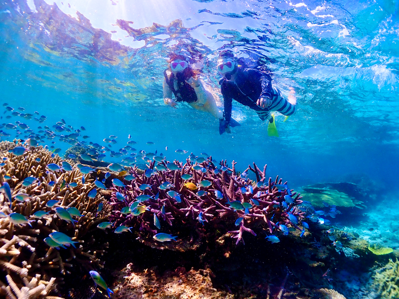 r[`Gg[łN₩ȔMы邱Ƃł܂I