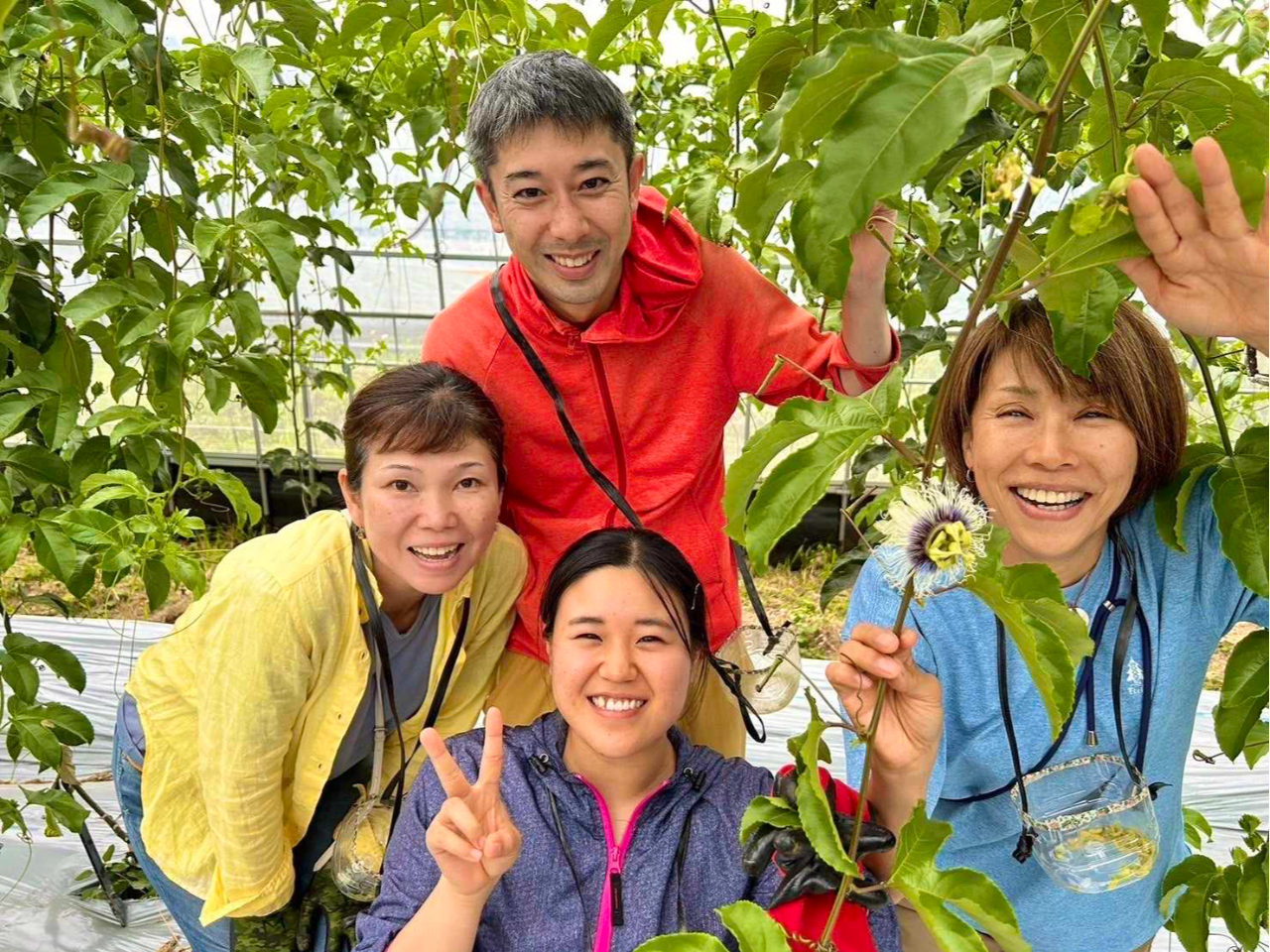 �p�b�V�����t���[�c�B�󕲑̌��B�_�Ƒ̌��B�����哇�B�����B