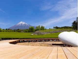 開放感があり足元は風も抜ける爽やかな茶縁です