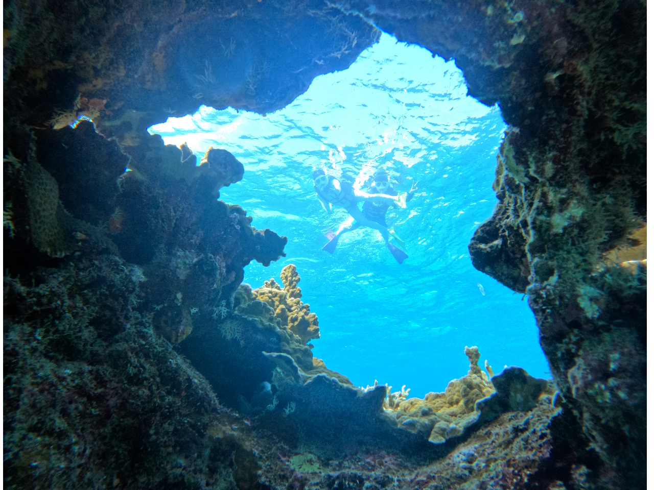 ������Y��Ȏʐ^�����B�肵�܂��I