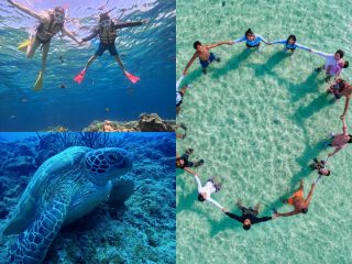 半日で回る満足ツアー!