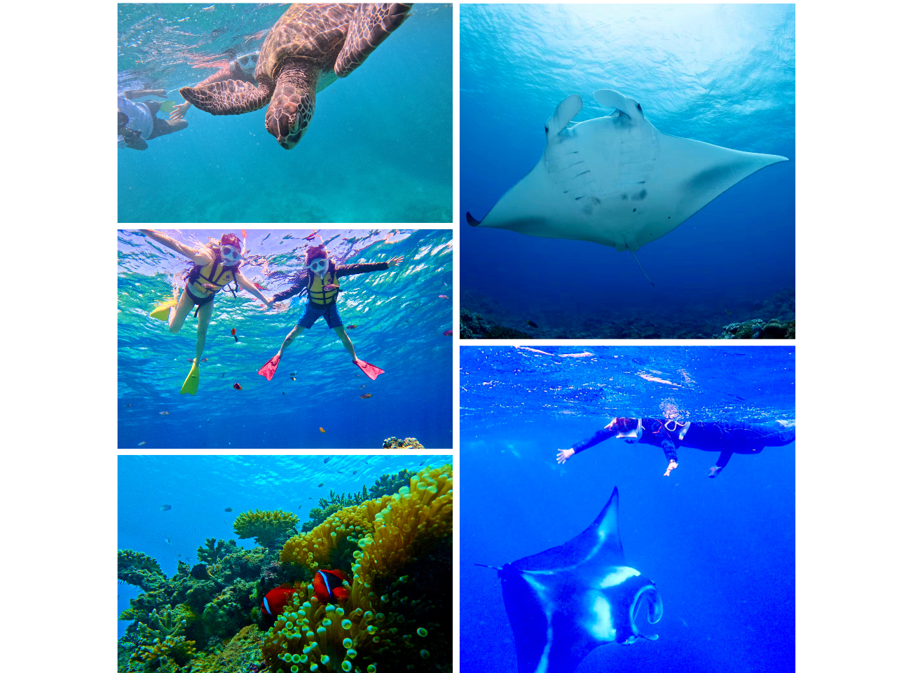 �}���^�c�A�[�͌��ǂ��됷�肾������I