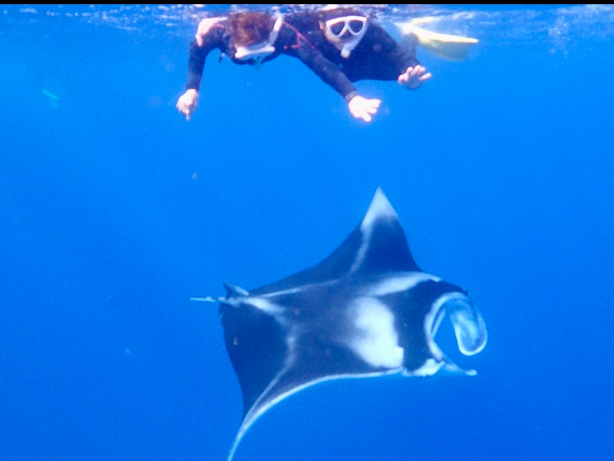 �V���m�[�P���Ń}���^�������I�H