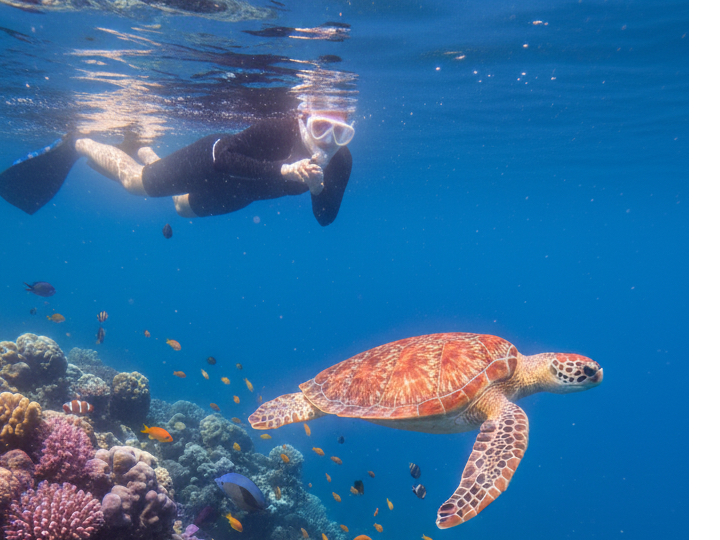 �C�T�ƋL�O�B�e�I