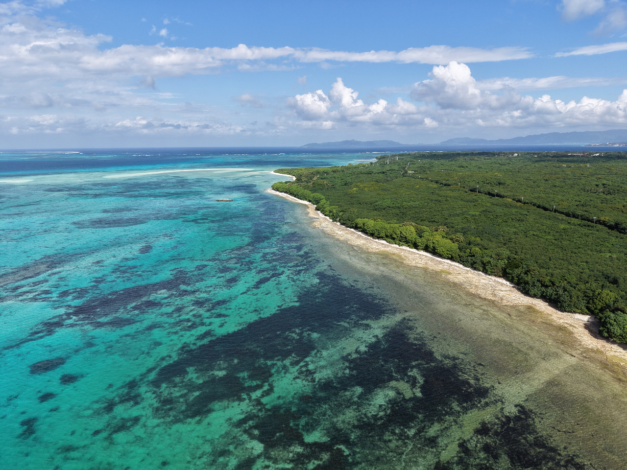 �����ʂ锪�d�R�̊C