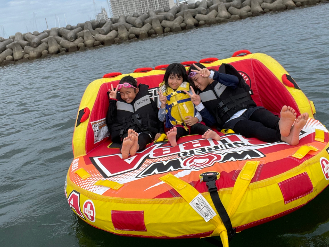 �q���B�i���w���j����