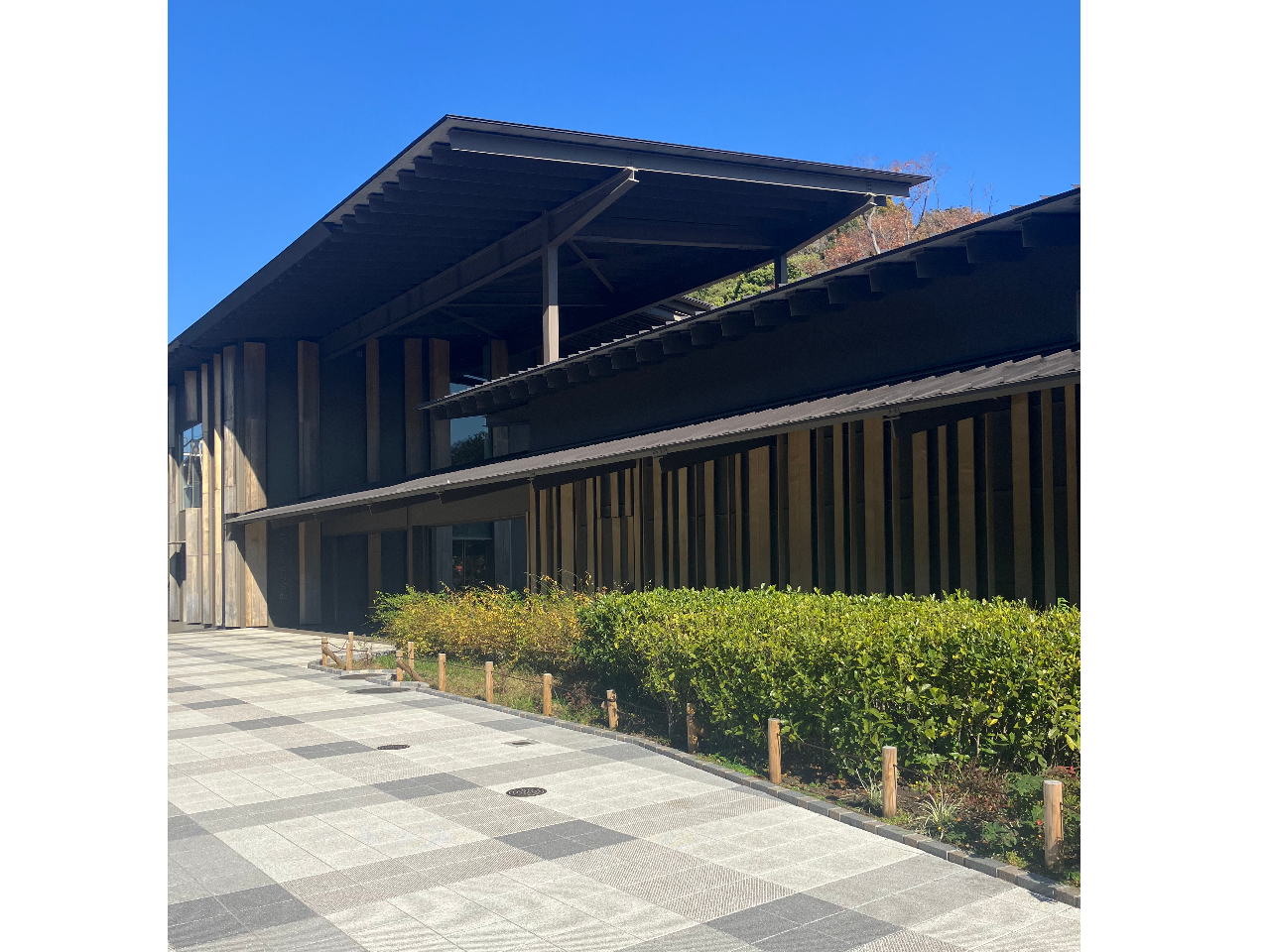 cz炬فBwOłBRς̌ɕ݂Ă܂BJtF܂B