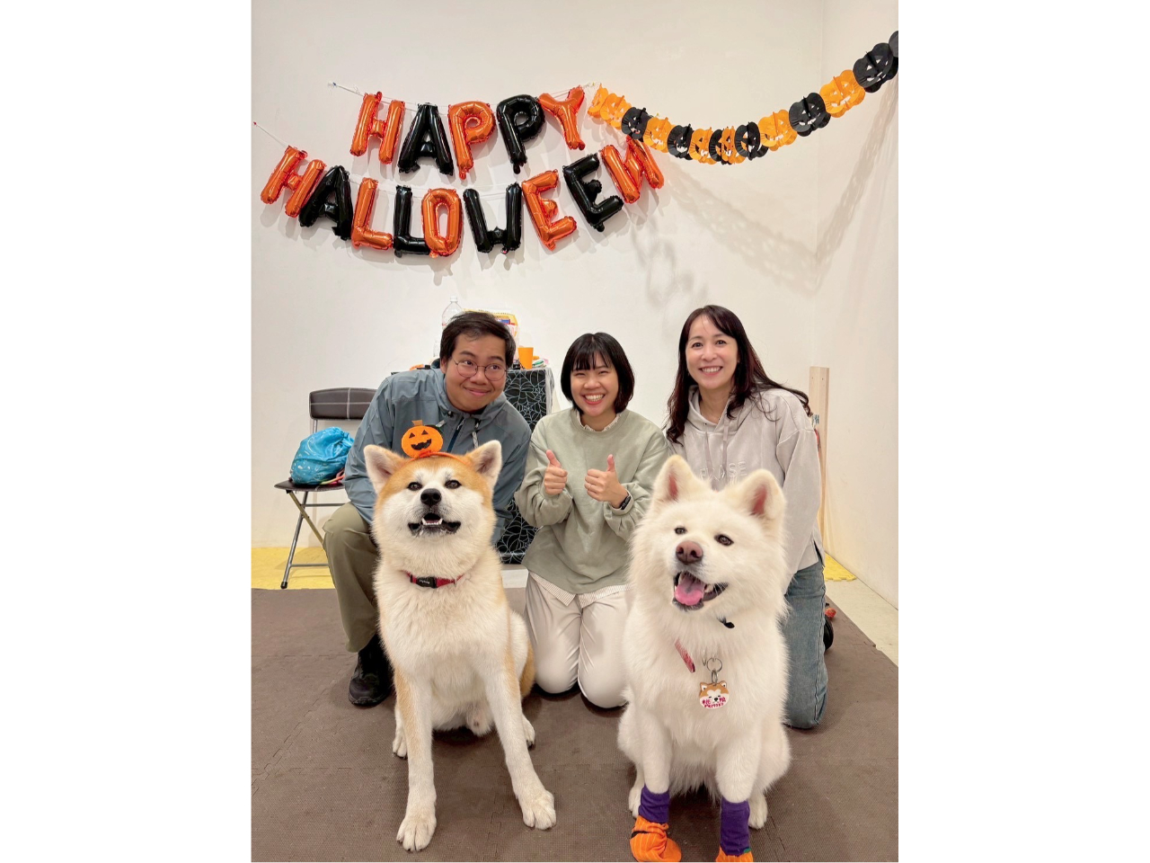 _SNSf̎ʐ^BeHcƈꐶ̎vo^