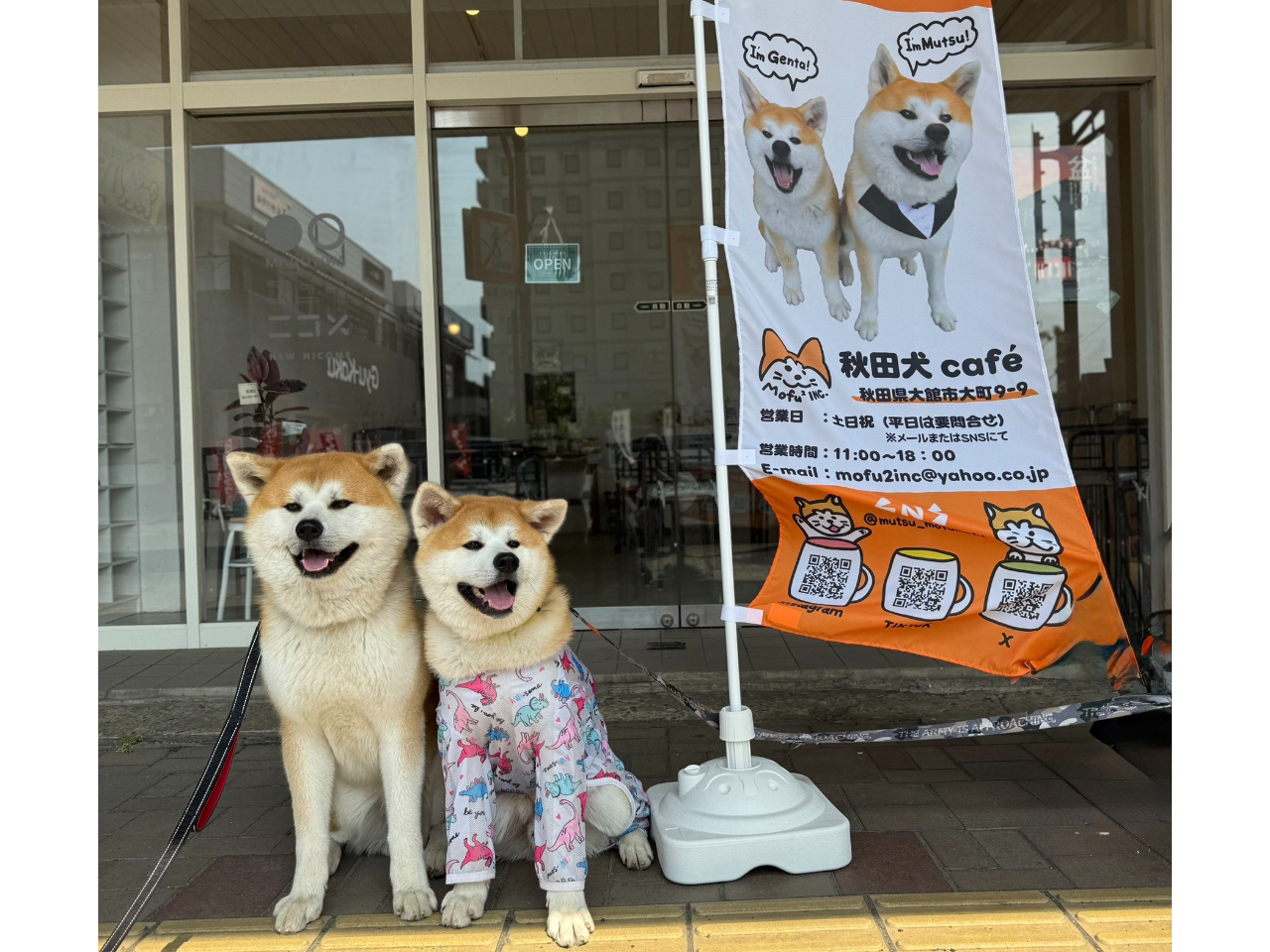 _Hccafełӂꂠ̌^uvuvɉɂĂˁ