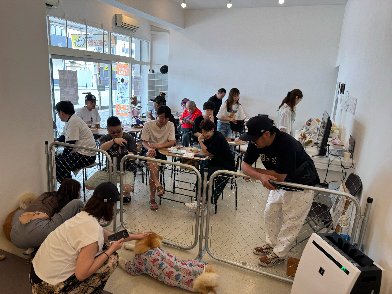 _ӂꂠt́uttR[XvȊOɂu郂tvR[XpӁI^]ɍ킹Ă\񂭂ˁI