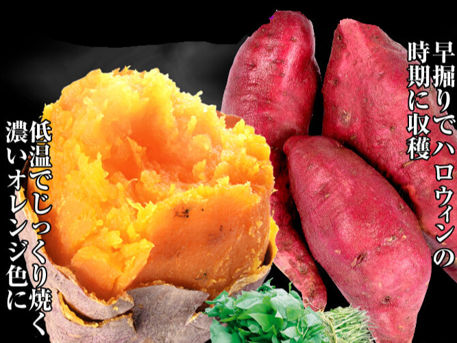 ハロウィンスィート