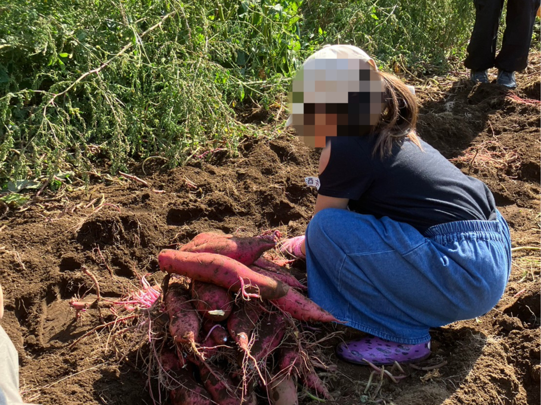 うわ?、たくさん取れた!