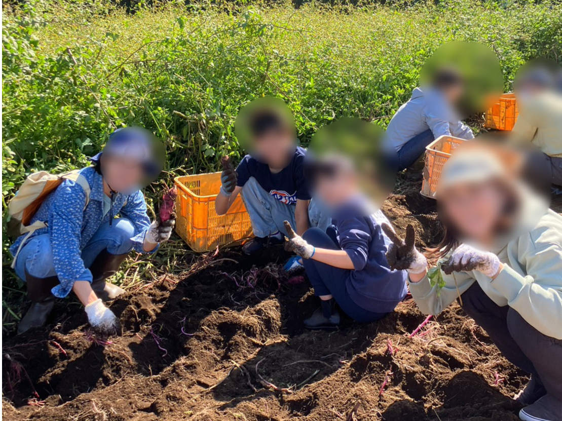 今日はみんなで、仲良く、楽しくおいも掘り♪