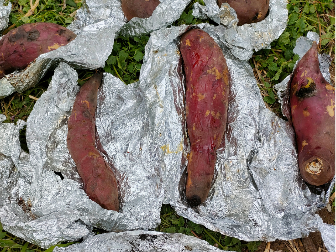 焼けた、焼けた♪