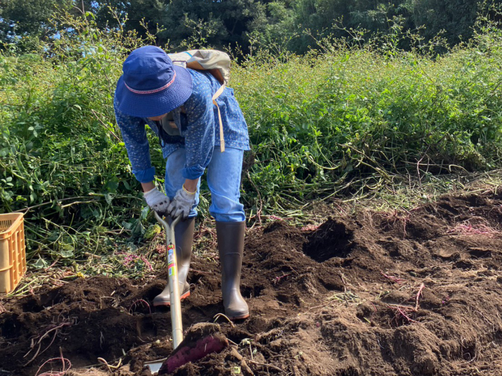 スコップがあるから、楽ちん♪