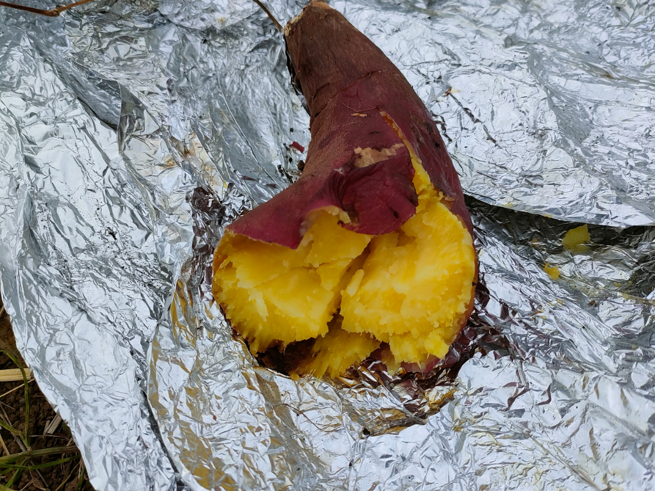 焼き立て、アツアツのお芋はいかが?