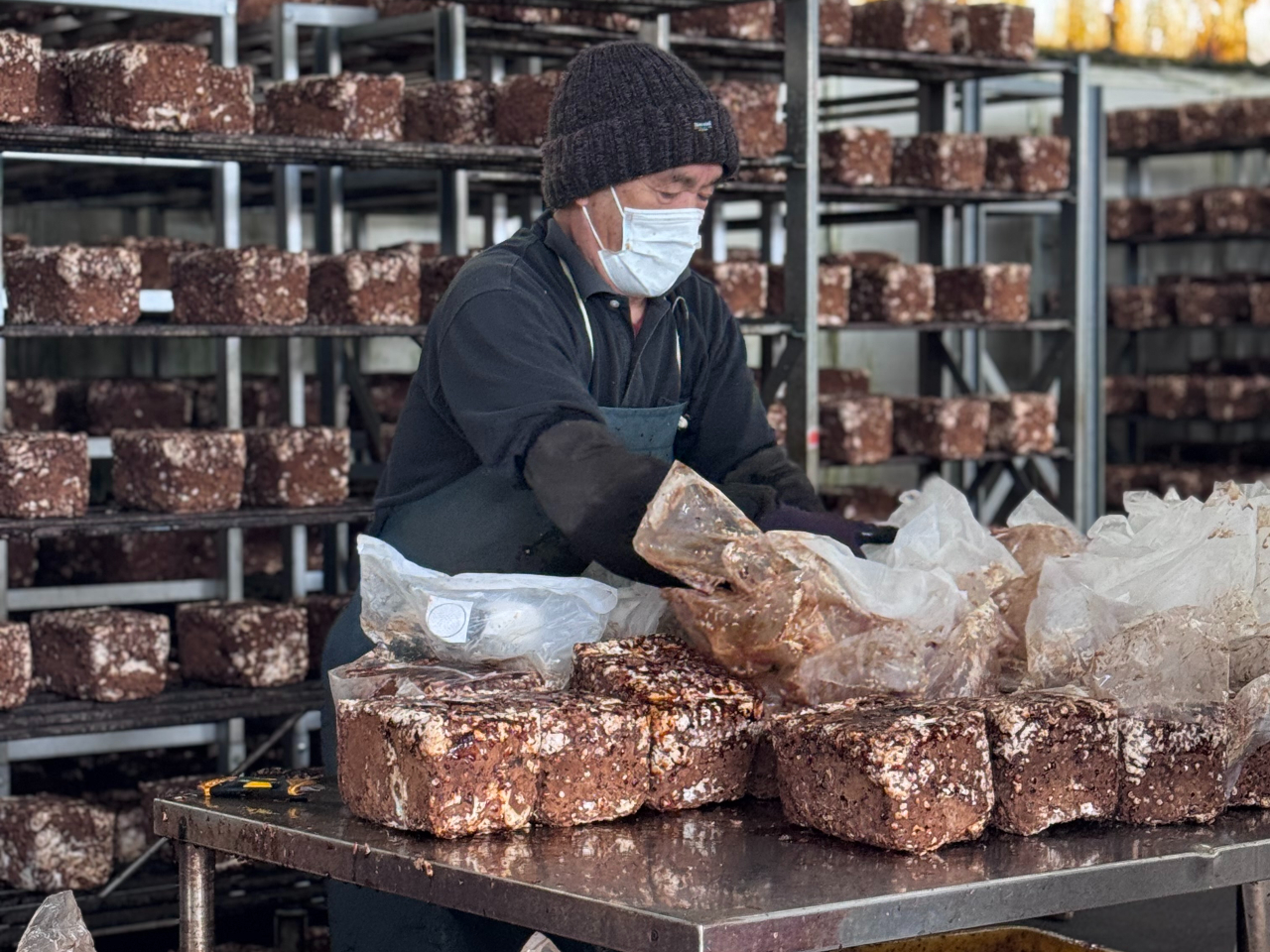 10月】秋の味覚！ファミリー応援「しいたけ狩り」＆工場見学☆3歳以下