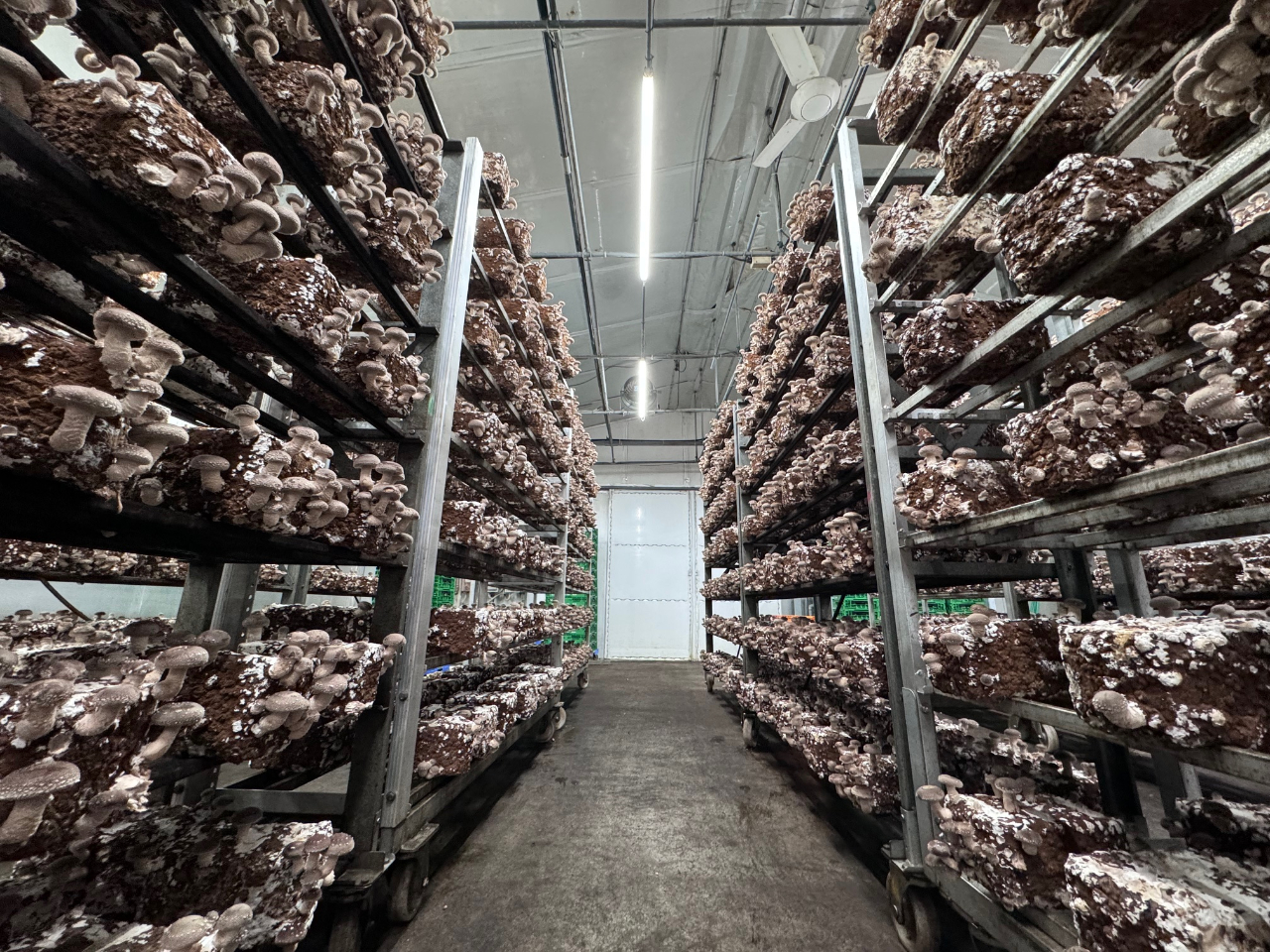 ̎n͊Sɉōs߁AJ̓łSĂy݂܂B