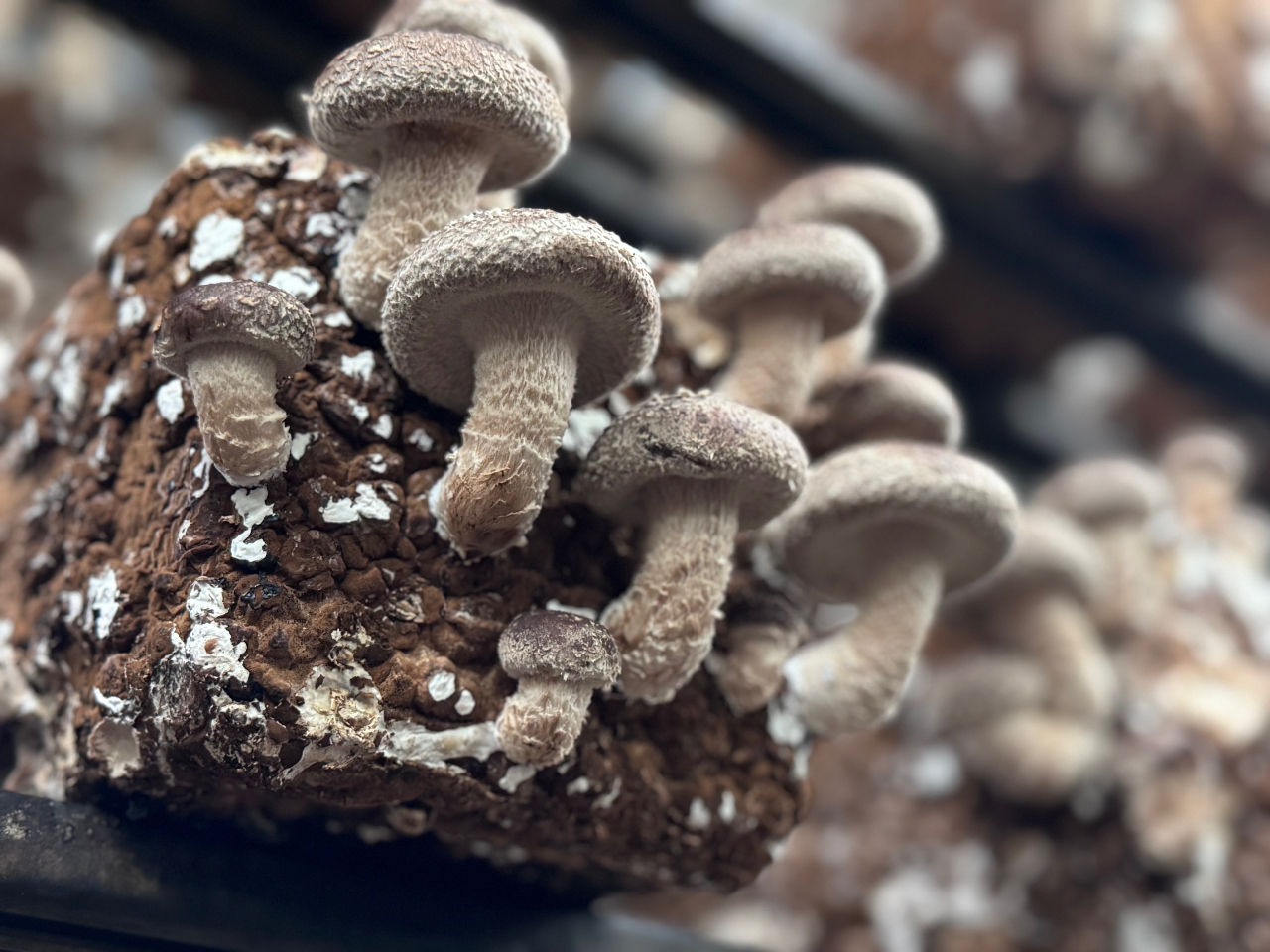 �傫���ē����Ȃ����������������҂����Ă��܂��I