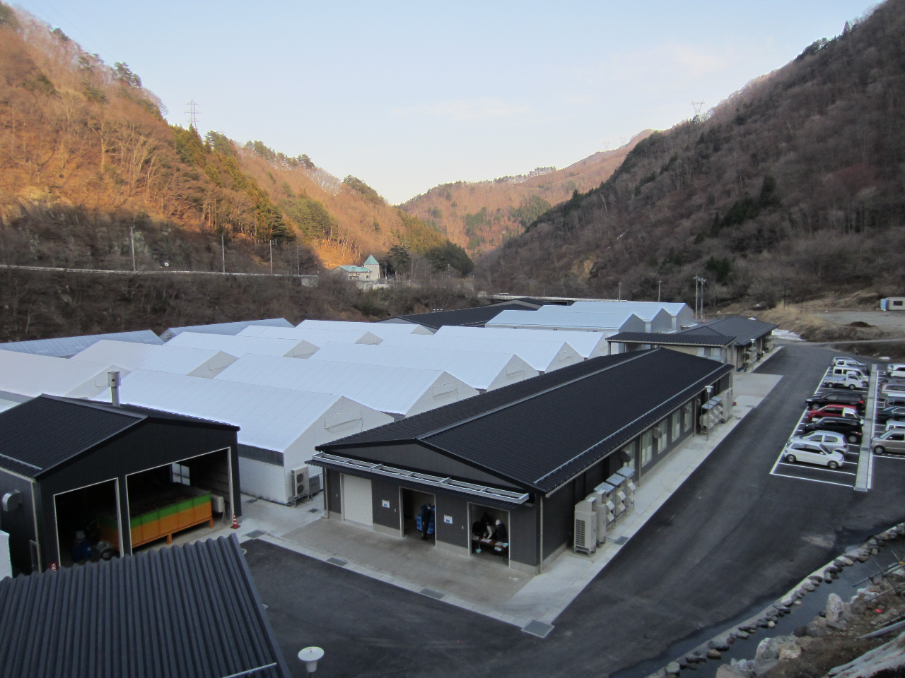 �L���{�݂̒��Ŗ���1000�L���̂����������o�ׂ��Ă��܂��B