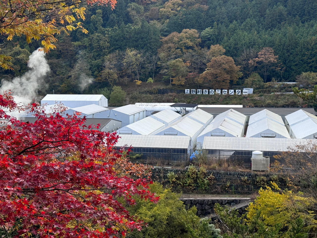 ���R�Ɉ͂܂ꂽ�Â��ȏꏊ�ɂ���A���̂���������̂����炬���S�n�悭�����܂��B�������Ƃ������Ԃ����߂������������܂��B