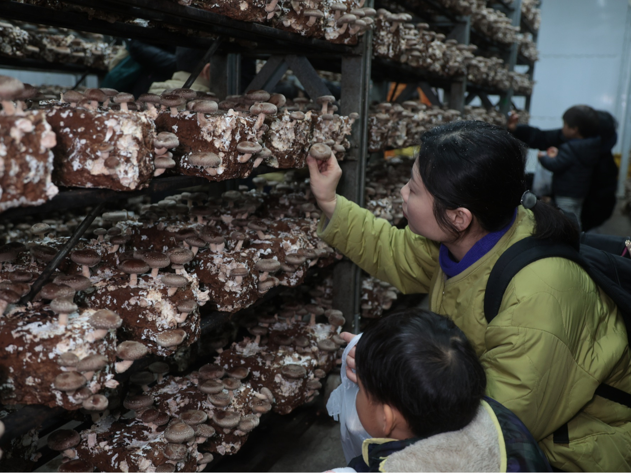 �傫�Ȃ��̂���A���낱��Ə����Ȃ��̂܂ŁA���܂��܂Ȍ`�̂�������������܂��B�ǂꂪ�����΂�������������A���Ђ��q���܂ƈꏏ�ɑI��ł݂Ă��������I