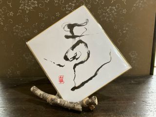 甲骨文字?竜?