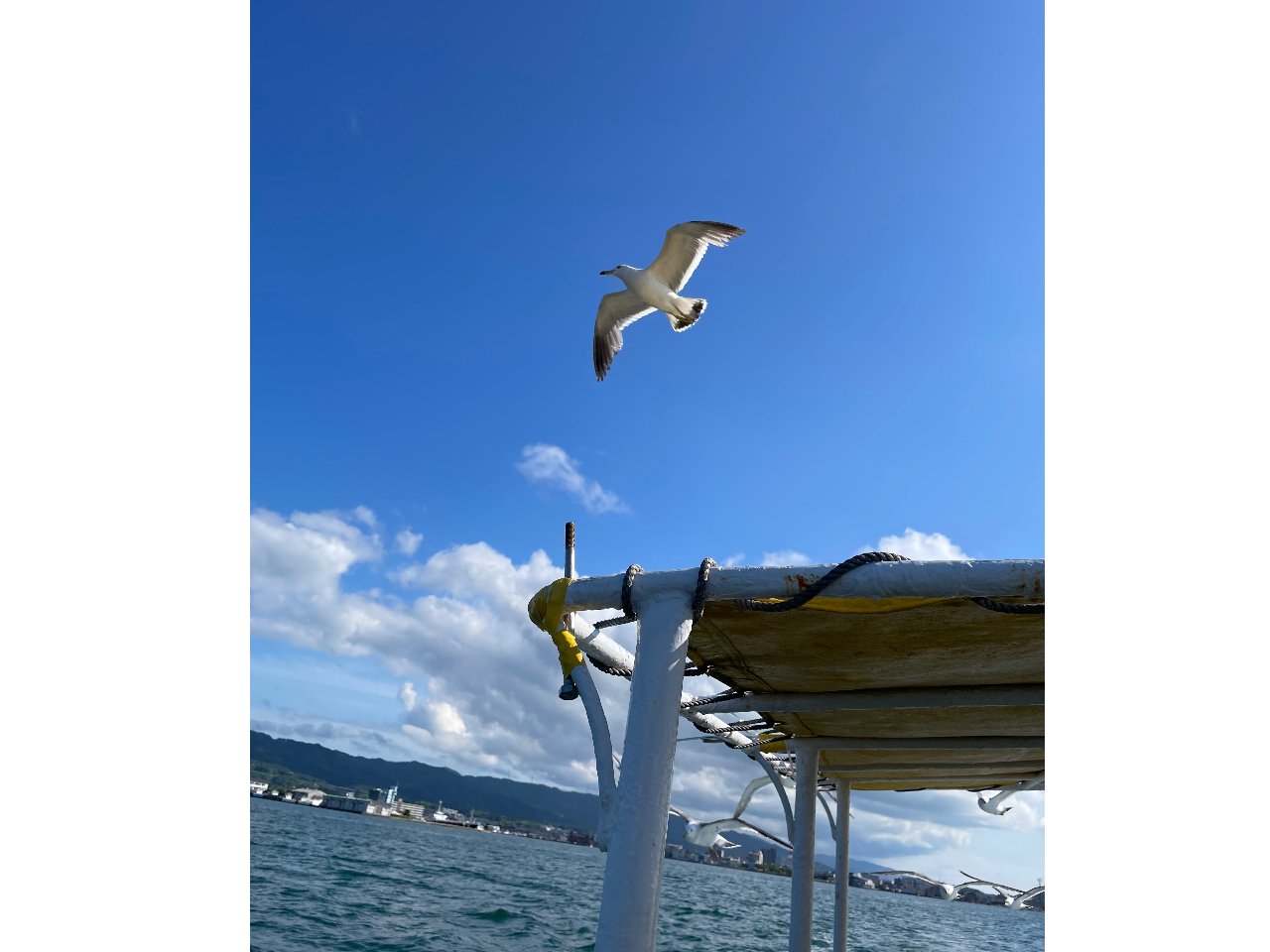 ͂ǂȌiF邱Ƃłł傤H