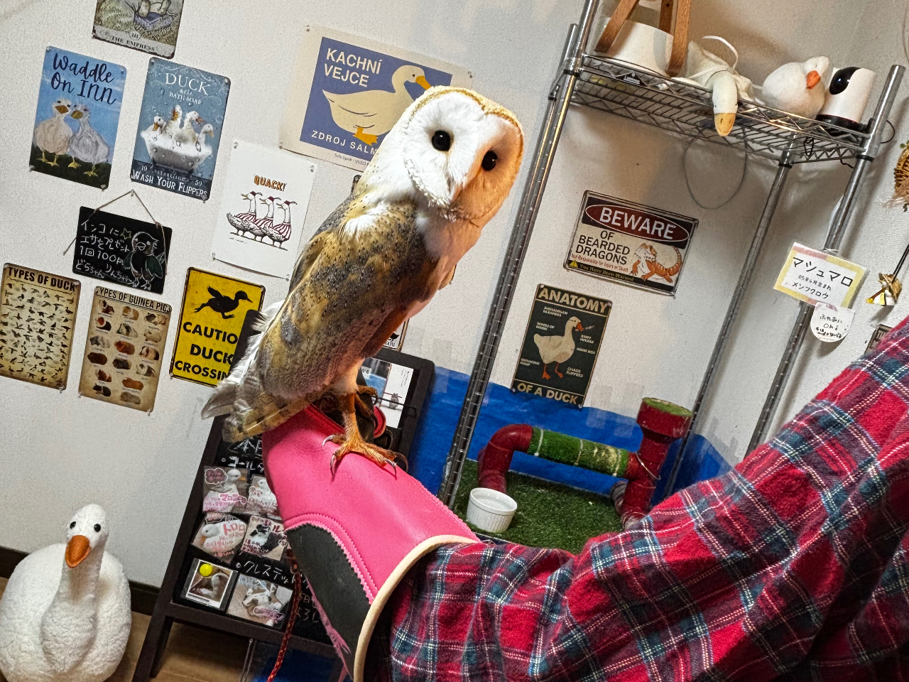 ミニ缶ジュース飲み放題付！／／【動物ふれあい体験】│北九州│コール