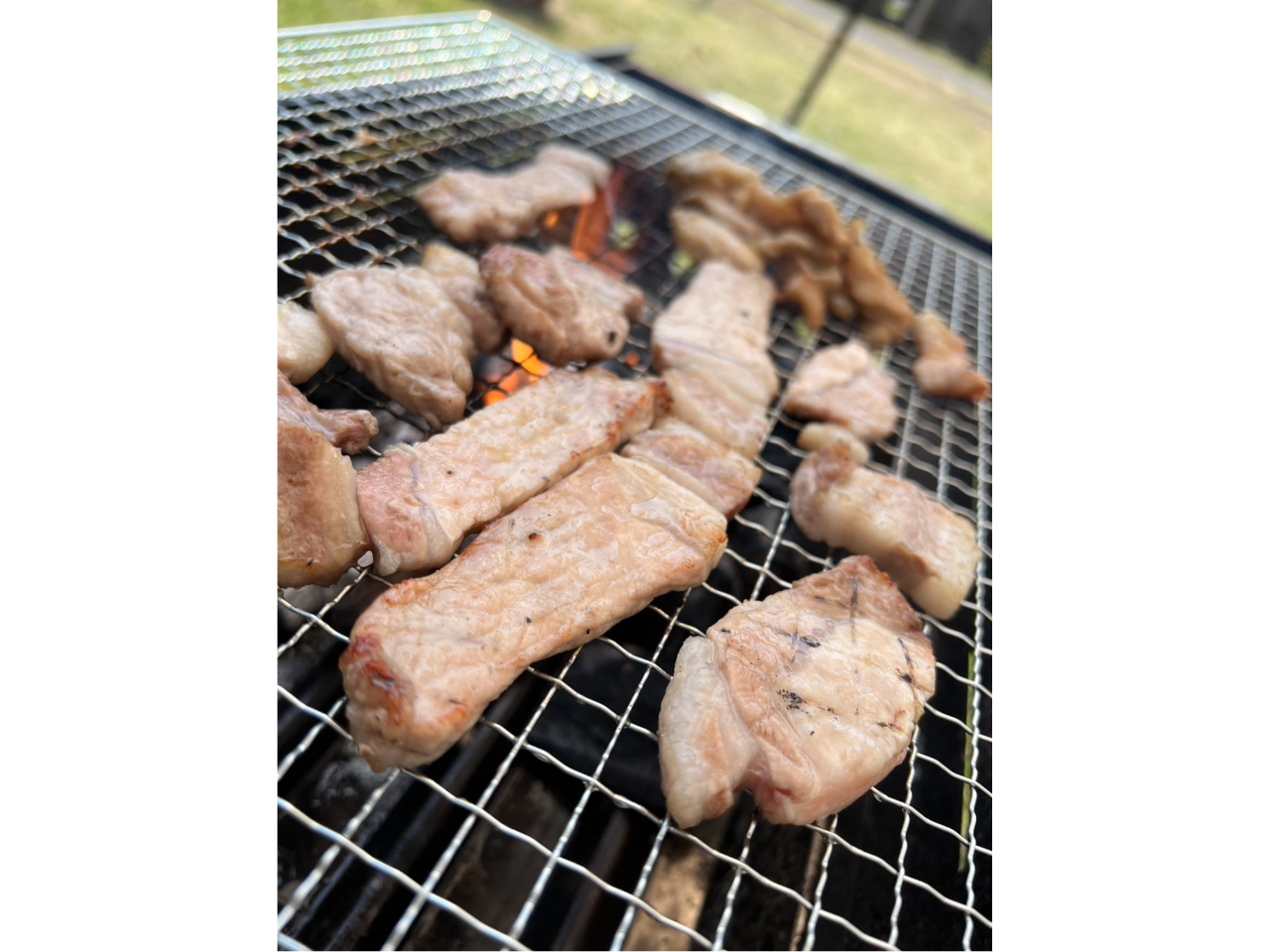 LѐLтƁAv肨y݂iHނ͂Qj