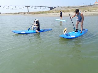 ワンコSUP 愛犬と一緒にSUPしませんか