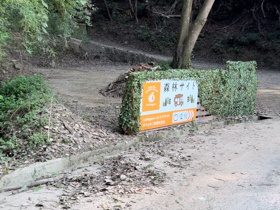 ̌ꏊ͊CICԂŖ10̃LvucollegareiRK[jXуTCgv