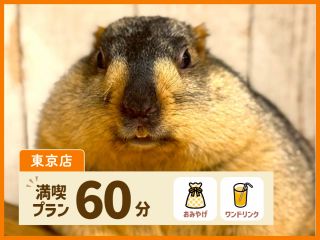 満喫プランには、オリジナルグッズのお土産とワンドリンクが付いています