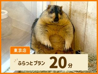 ふらっと立ち寄りたい方におすすめのプラン。60分プランについているお土産とワンドリンクは付いていません。
