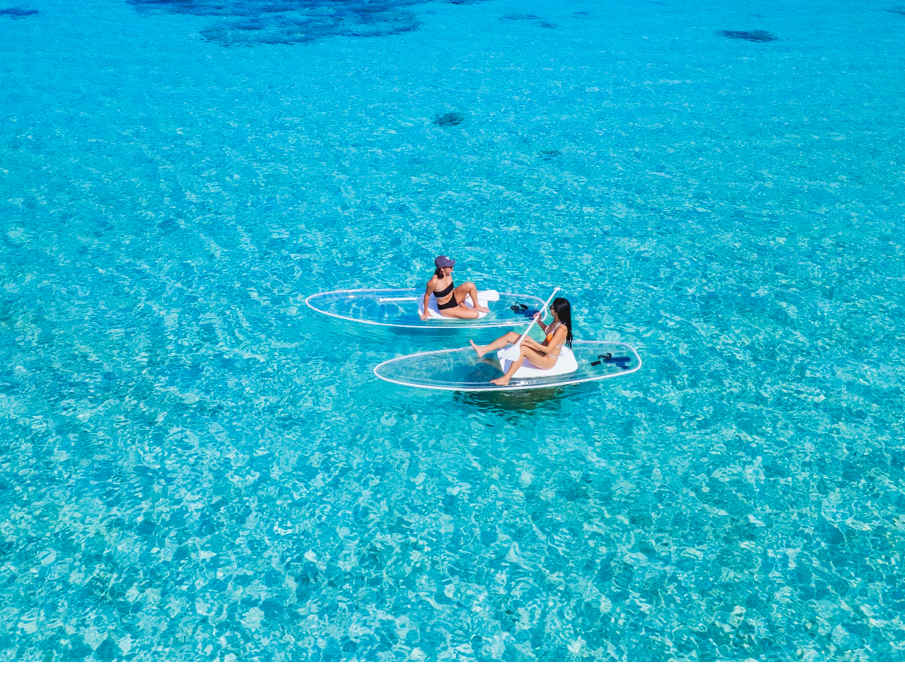 NATbv͓܂ŊC̏ɕĂ悤ȋC𖡂Ē܂(^^)