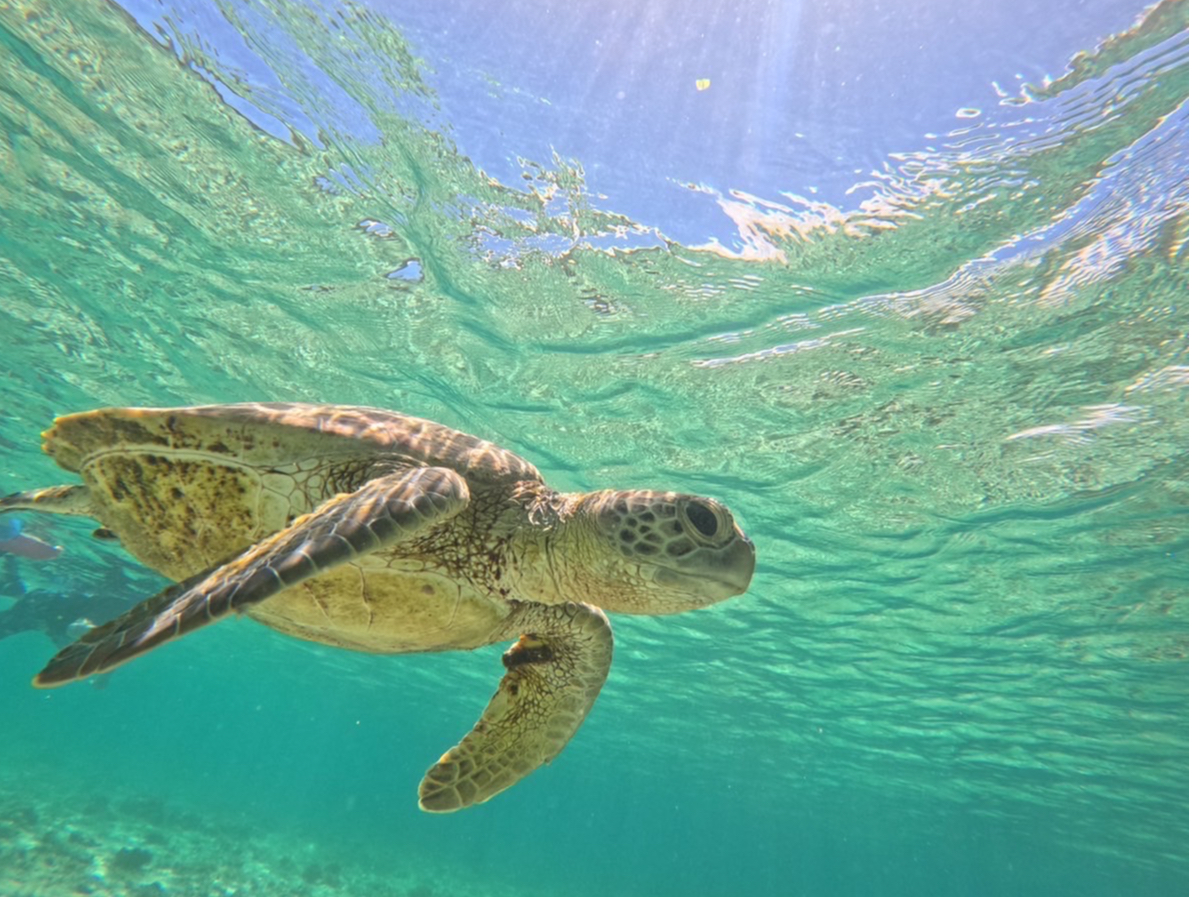 {Ó̊ĆAxQłCX^fԈႢȂI