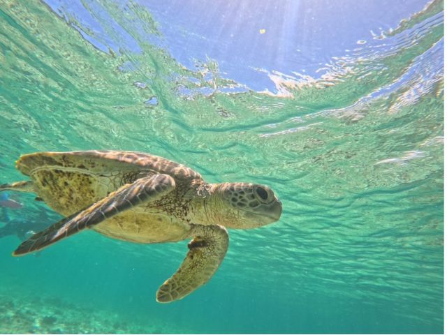 宮古島の海は、透明度も抜群です☆インスタ映え間違いなし!