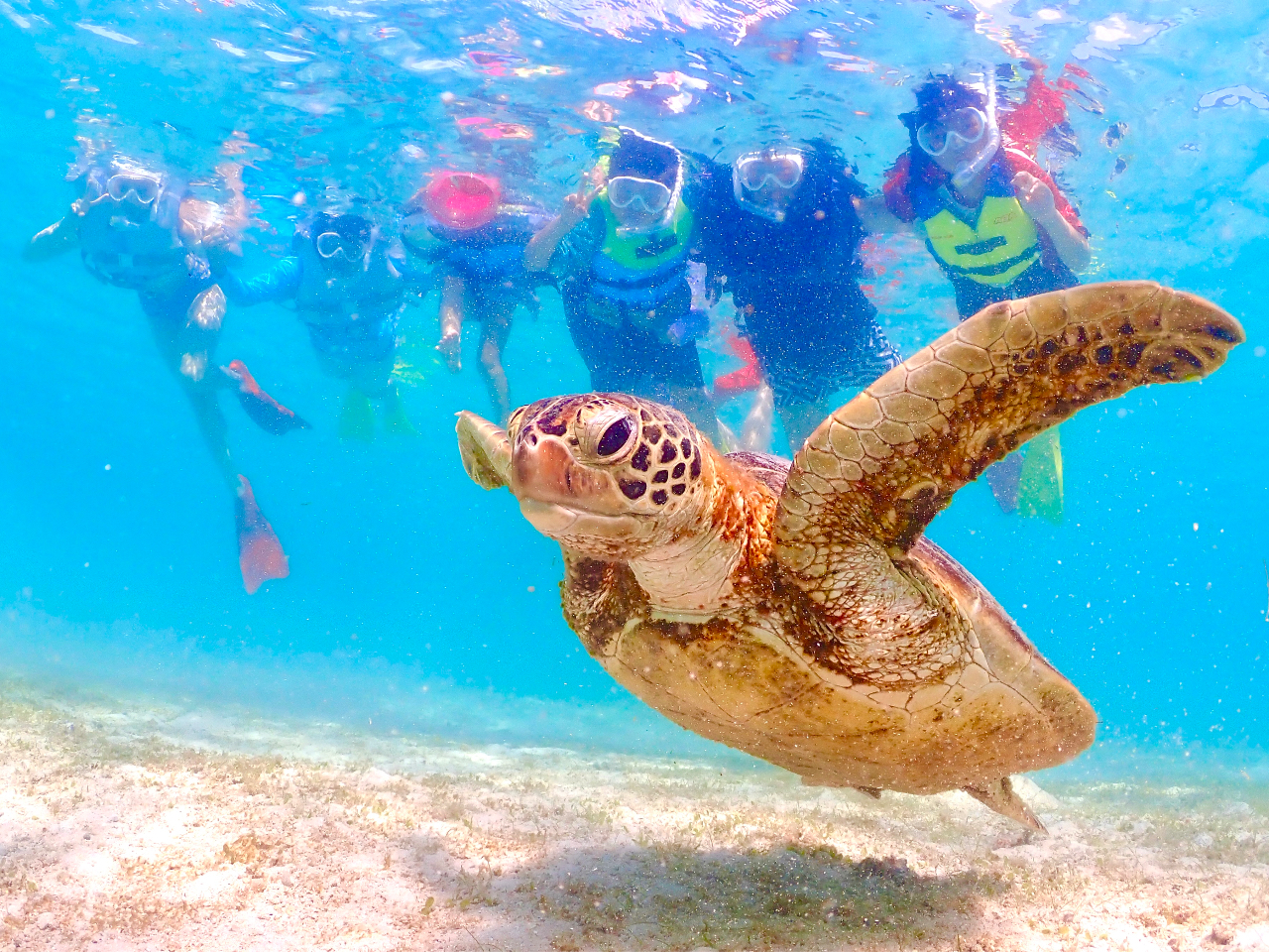 Ƒlłc̗lł劽}ł^_^