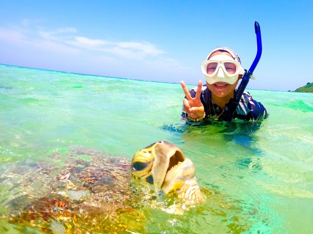ウミガメちゃんとの貴重な海面ショット★
