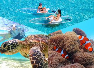 宮古島の大人気アクティビティ☆クリアSUP&ウミガメシュノーケルのセットプラン!!